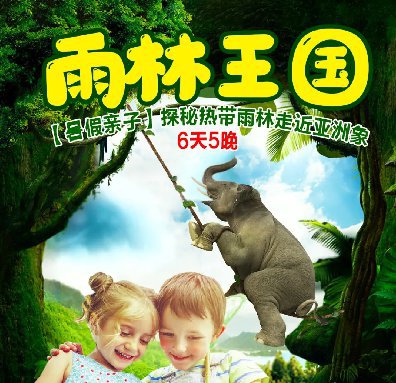 【雨林王国】探秘热带雨林走近亚洲象6天5晚